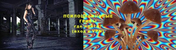 кристаллы Белокуриха